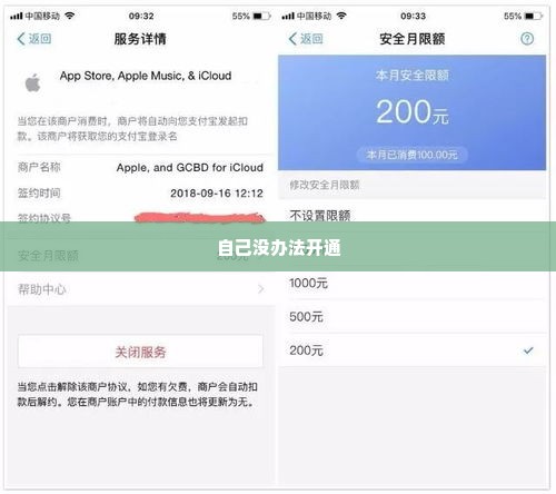 苹果专项额度分期怎么套出来，快速取现方法和流程