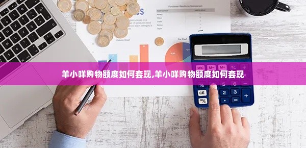 羊小咩购物额度如何套现,羊小咩购物额度如何套现