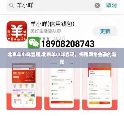 北京羊小咩套现,北京羊小咩套现，揭秘网络金融的新宠