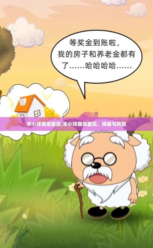 羊小咩商城套现,羊小咩商城套现，揭秘与风险