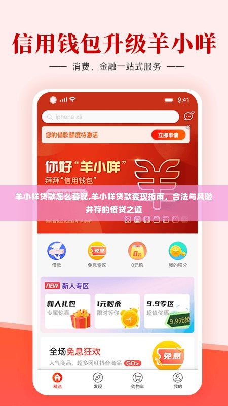 羊小咩贷款怎么套现,羊小咩贷款套现指南，合法与风险并存的借贷之道