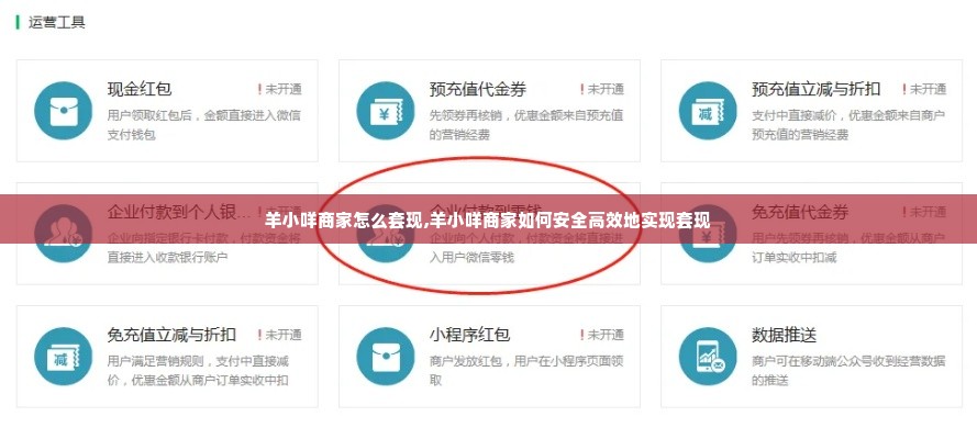 羊小咩商家怎么套现,羊小咩商家如何安全高效地实现套现