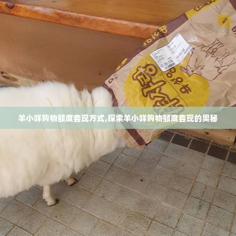 羊小咩购物额度套现方式,探索羊小咩购物额度套现的奥秘