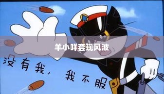 羊小咩套现被警察抓了,羊小咩套现风波，一场虚拟与现实的较量