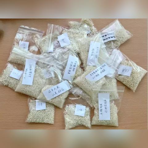 拼多多先用后付自己能套出来,拼多多先用后付自己能套出来的秘密