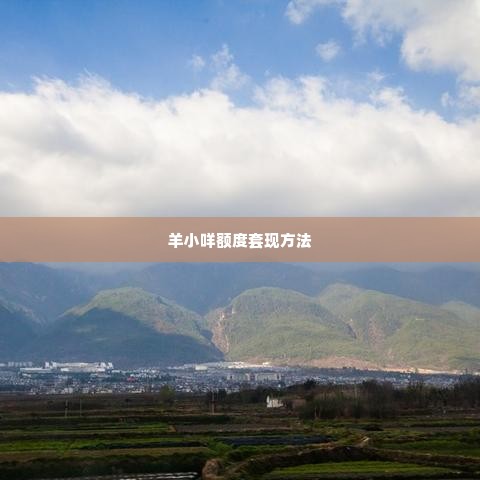 羊小咩额度怎么套现出来的方法,羊小咩额度套现方法探究，安全与风险的平衡术
