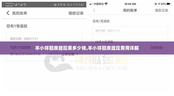 羊小咩额度提现要多少钱,羊小咩额度提现费用详解