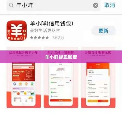 羊小咩提现额度,羊小咩提现额度的探索与实践