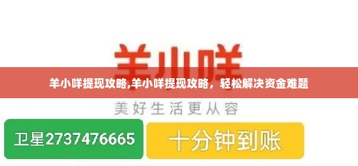 羊小咩提现攻略,羊小咩提现攻略，轻松解决资金难题