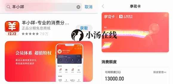 羊小咩提现攻略,羊小咩提现攻略，轻松解决资金难题