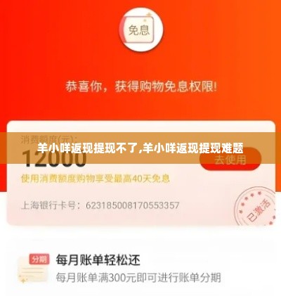 羊小咩返现提现不了,羊小咩返现提现难题