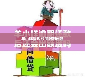 羊小咩没有提现额度,羊小咩提现额度受限的困境与出路