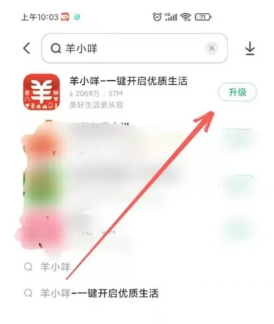 羊小咩临时额度提现,羊小咩临时额度提现攻略，轻松管理个人财务