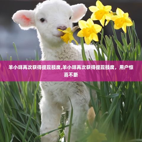羊小咩再次获得提现额度,羊小咩再次获得提现额度，用户惊喜不断