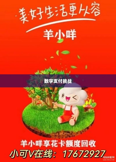 羊小咩能在超市提现吗,羊小咩能否在超市提现？探索数字支付的便捷与挑战