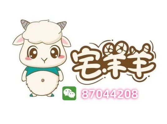 羊小咩能在超市提现吗,羊小咩能否在超市提现？探索数字支付的便捷与挑战