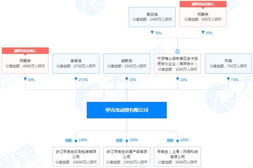 羊小咩多久提现到账,羊小咩平台的资金流转速度解析