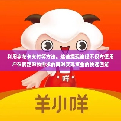 羊小咩商城可以提现吗,羊小咩商城的提现机制探秘