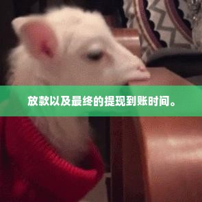 羊小咩提现什么时候到,羊小咩提现到账时间全解析