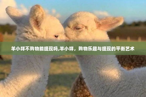 羊小咩不购物能提现吗,羊小咩，购物乐趣与提现的平衡艺术