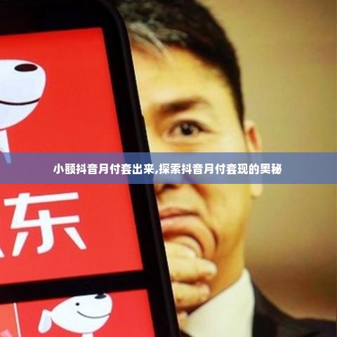 小额抖音月付套出来,探索抖音月付套现的奥秘