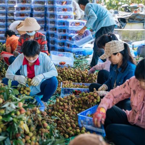 封控拼多多先用后付套出来是真的吗,封控拼多多先用后付套出来的真相探究
