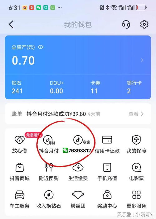 抖音月付商品套出来怎么操作,抖音月付商品套现操作指南，安全、合法还是风险重重？