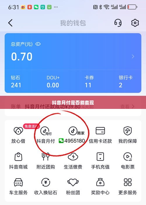 抖音月付能套出来么吗现在,揭秘抖音月付，能否轻松套现？