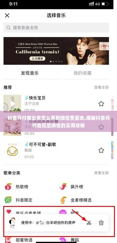 抖音月付套出来怎么弄到微信里面去,揭秘抖音月付套现至微信的实用攻略