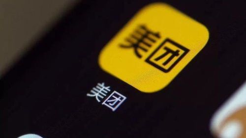 南昌美团月付套出来,南昌美团月付套现，探索背后的故事与风险管理
