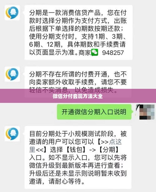 微信分付套出来方法大全,微信分付套现方法大全