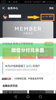 微信分付兑米套出来,微信分付兑米套出来，揭秘背后的金融智慧与风险防范