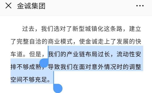 美团月付怎么套出来金的啊,美团月付的套现技巧与风险管理