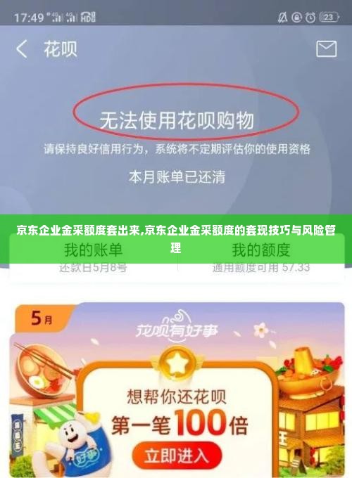 京东企业金采额度套出来,京东企业金采额度的套现技巧与风险管理