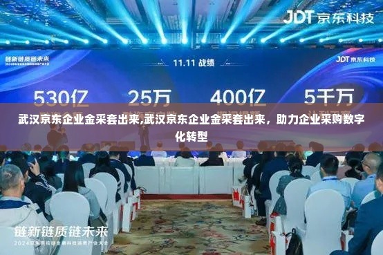 武汉京东企业金采套出来,武汉京东企业金采套出来，助力企业采购数字化转型