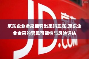 京东企业金采能套出来吗现在,京东企业金采的套现可能性与风险评估