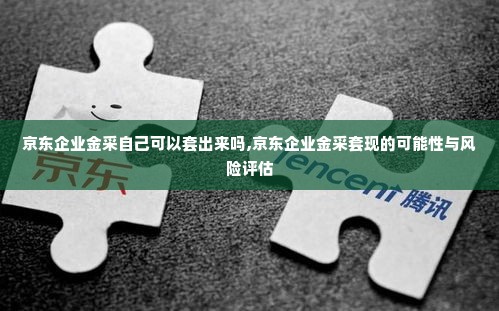京东企业金采自己可以套出来吗,京东企业金采套现的可能性与风险评估