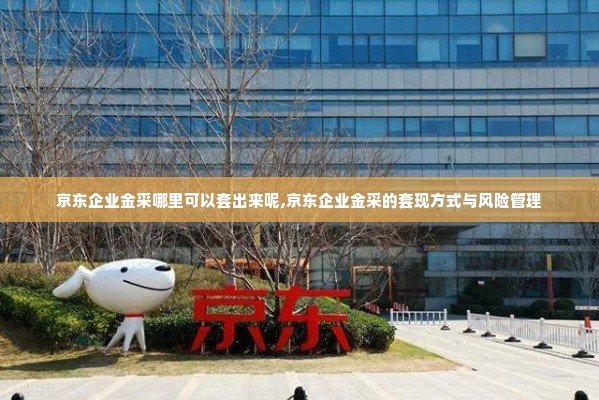 京东企业金采哪里可以套出来呢,京东企业金采的套现方式与风险管理