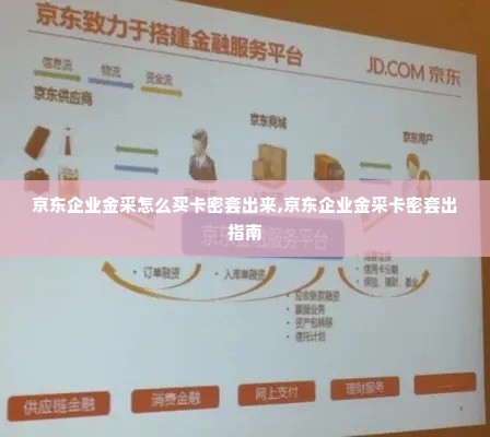 京东企业金采怎么买卡密套出来,京东企业金采卡密套出指南