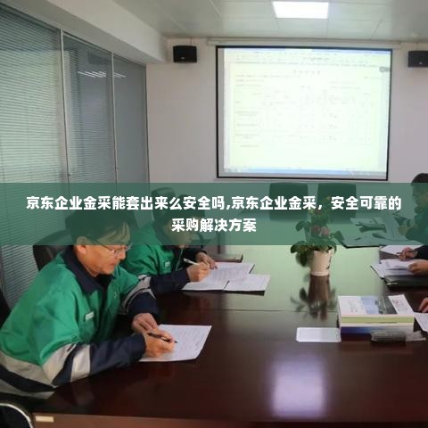 京东企业金采能套出来么安全吗,京东企业金采，安全可靠的采购解决方案