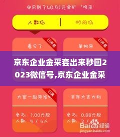 京东企业金采套出来秒回2023微信号,京东企业金采套现流程与风险管理
