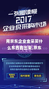 用京东企业金采买什么东西套出来,京东企业金采的采购策略与应用实例分析