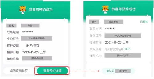 美团月付套出来秒回技巧是什么套路,揭秘美团月付套现秒回技巧，陷阱还是机遇？