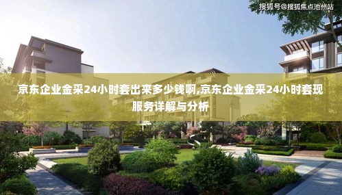 京东企业金采24小时套出来多少钱啊,京东企业金采24小时套现服务详解与分析