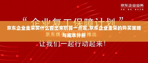 京东企业金采买什么套出来划算一点呢,京东企业金采的购买策略与成本分析