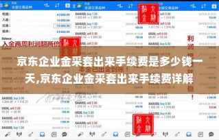 京东企业金采套出来手续费是多少钱一天,京东企业金采套出来手续费详解