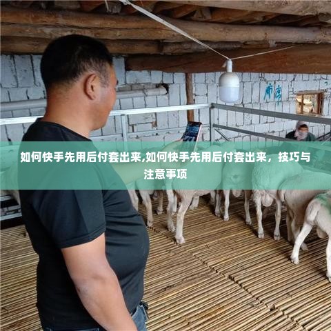 如何快手先用后付套出来,如何快手先用后付套出来，技巧与注意事项