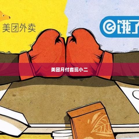 美团月付套出来小二是真的吗安全吗,揭秘美团月付套现真相，小二的真面目与安全考量