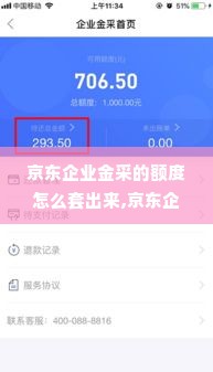 京东企业金采的额度怎么套出来,京东企业金采额度的合法提取之道