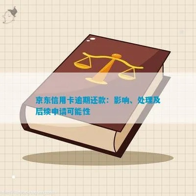 京东企业金采能套出来吗现在,探索京东企业金采的套现可能性
